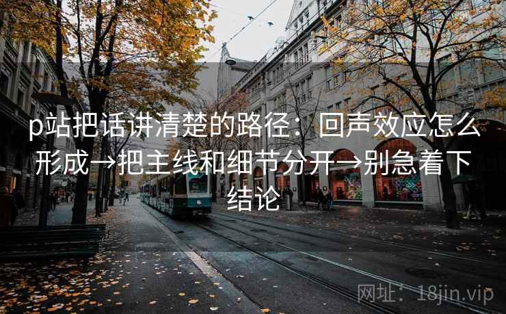p站把话讲清楚的路径：回声效应怎么形成→把主线和细节分开→别急着下结论